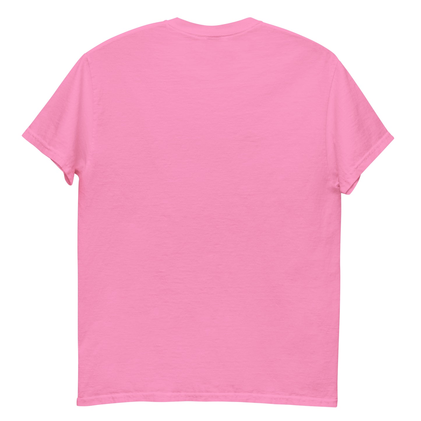 Men's classic tee TURBO CHICKS